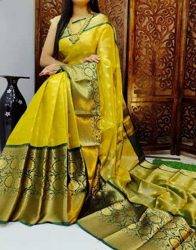 Pure Kanchivaram Silk Lounching New Design Saree with Bouse 